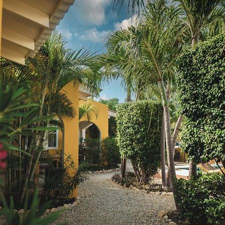 Casa Di Mario Apartment Playa Exterior photo